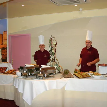 卡斯特尔维西诺酒店 酒店 3*